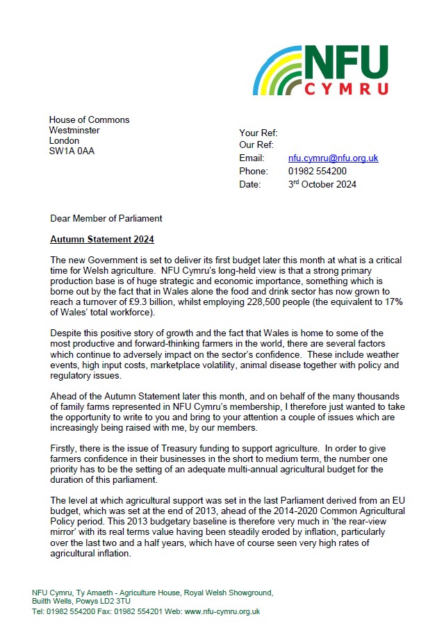 Letter to Welsh MPs - Autumn Statement 2024