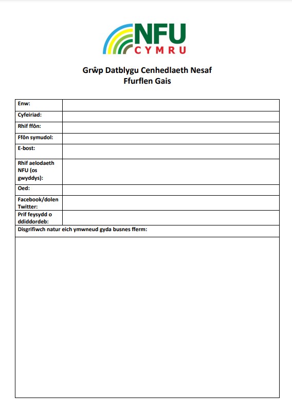 Ffurflen Cais Grwp Datblygu y Genhedlaeth Nesaf 2025 word doc