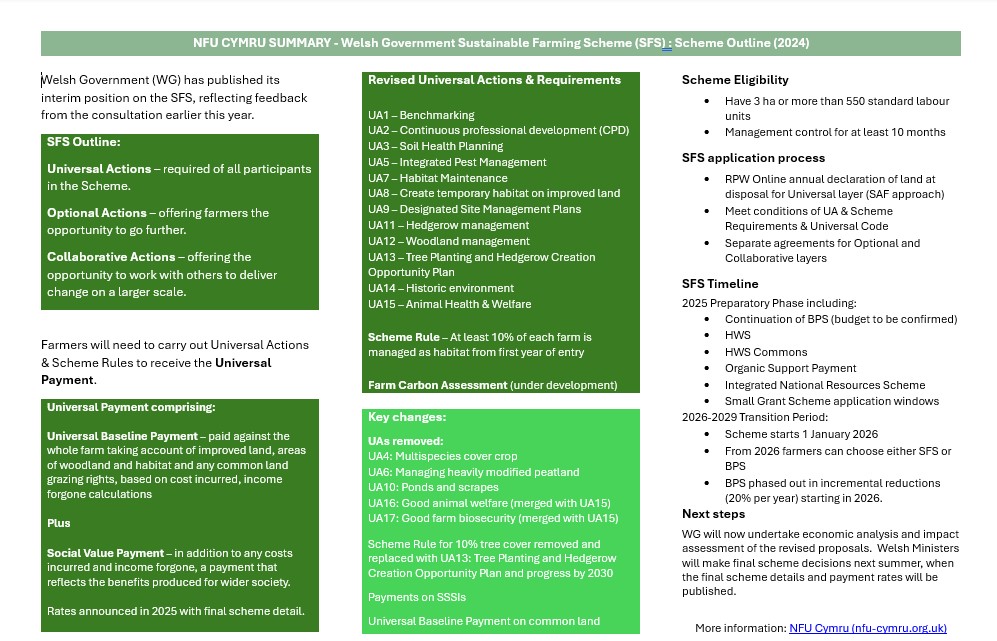 SFS outline - briefing