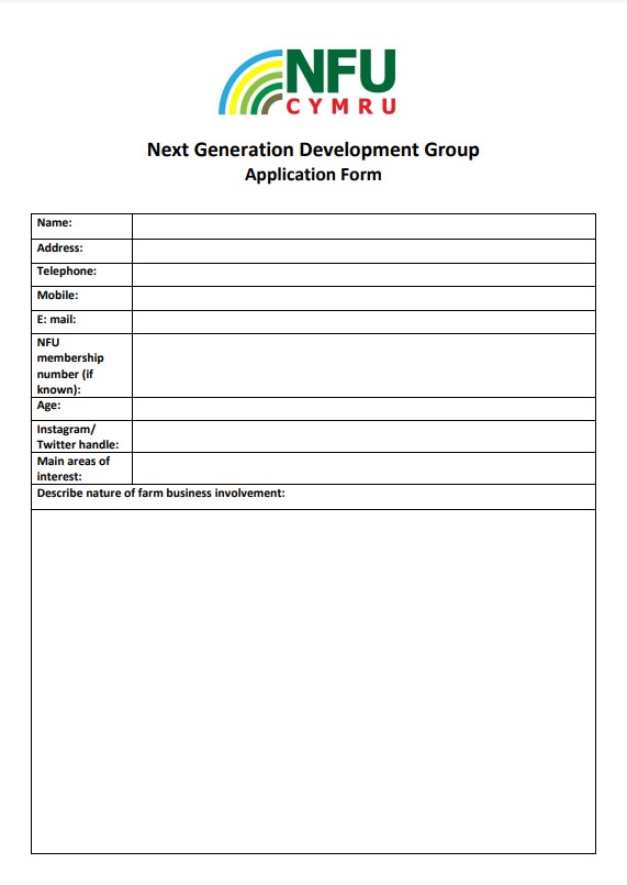 Application Form Next Generation Group 2025 - Word doc